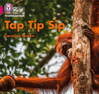 Caroline Green - Tap Tip Sip, Häftad