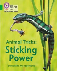 bokomslag Animal Tricks: Sticking Power