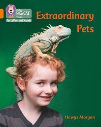 bokomslag Extraordinary Pets