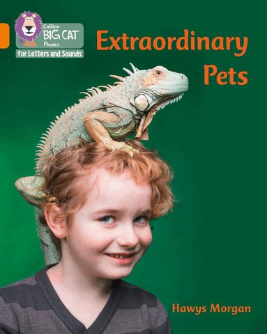 Hawys Morgan - Extraordinary Pets, Häftad