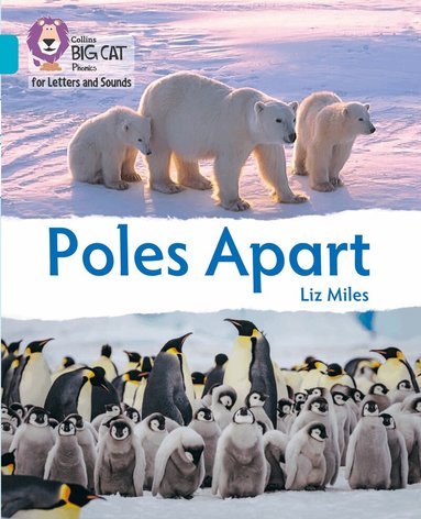 Liz Miles - Poles Apart, Häftad