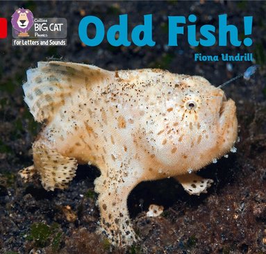 Fiona Undrill - Odd Fish!, Häftad