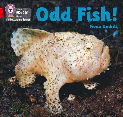 Odd Fish! 1