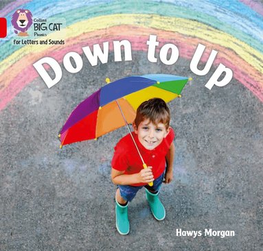 Hawys Morgan - Down to Up, Häftad