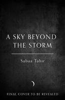 bokomslag Sky Beyond The Storm