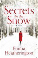 bokomslag Secrets In The Snow