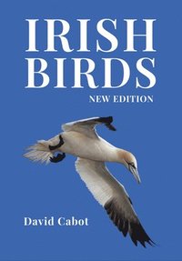 bokomslag Irish Birds