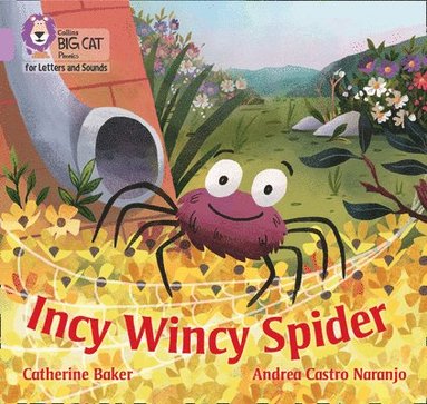 bokomslag Incy Wincy Spider