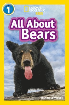 All About Bears 1