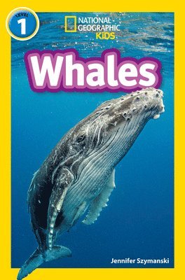 Whales 1