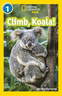 Climb, Koala! 1