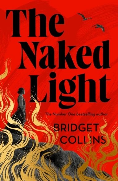 Bridget Collins - Naked Light, Häftad