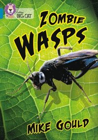 bokomslag Zombie Wasps