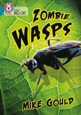 Zombie Wasps 1