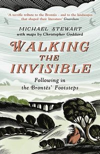 bokomslag Walking The Invisible