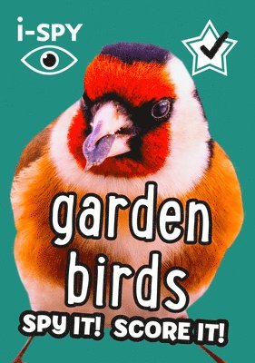 i-SPY Garden Birds 1