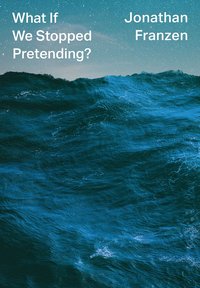 bokomslag What If We Stopped Pretending