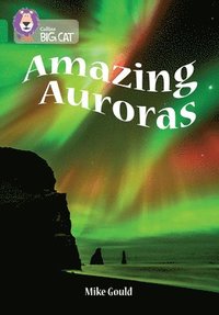 bokomslag Amazing Auroras