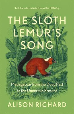 Sloth Lemur's Song 1