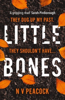 bokomslag Little Bones