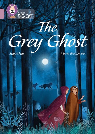 Stuart Hill - Grey Ghost, Häftad