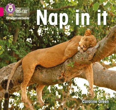 Caroline Green - Nap in it, Häftad