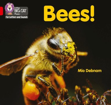 Mio Debnam - Bees!, Häftad