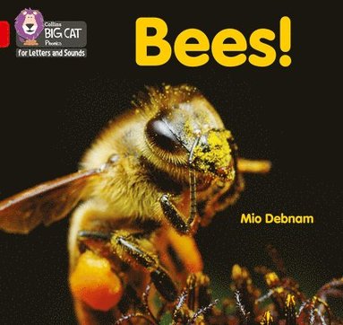 bokomslag Bees!