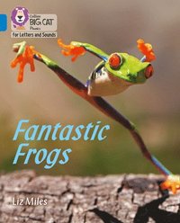 bokomslag Fantastic Frogs
