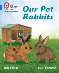 bokomslag Our Pet Rabbits