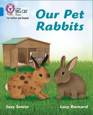 Our Pet Rabbits 1