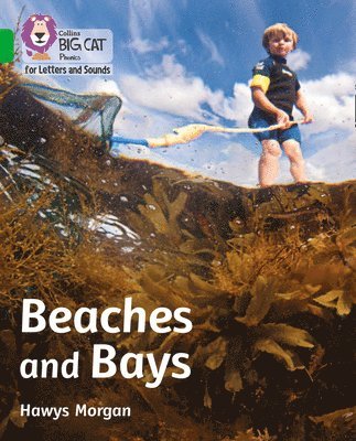 bokomslag Beaches and Bays