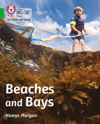 Beaches and Bays 1