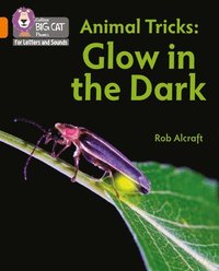 bokomslag Animal Tricks: Glow in the Dark