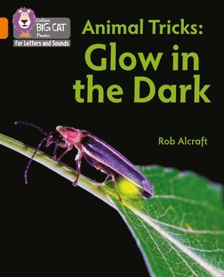 bokomslag Animal Tricks: Glow in the Dark
