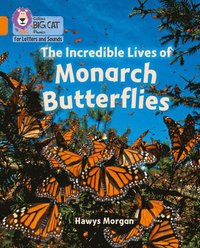 bokomslag The Incredible Lives of Monarch Butterflies