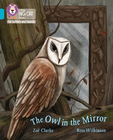 Zoë Clarke - Owl in the Mirror, Häftad
