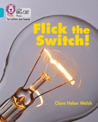 bokomslag Flick the Switch!