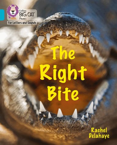 Rachel Delahaye - Right Bite, Häftad