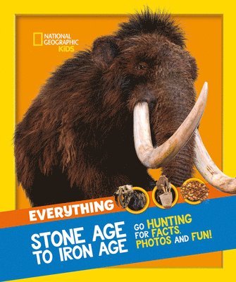 bokomslag Everything: Stone Age to Iron Age