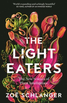 The Light Eaters 1