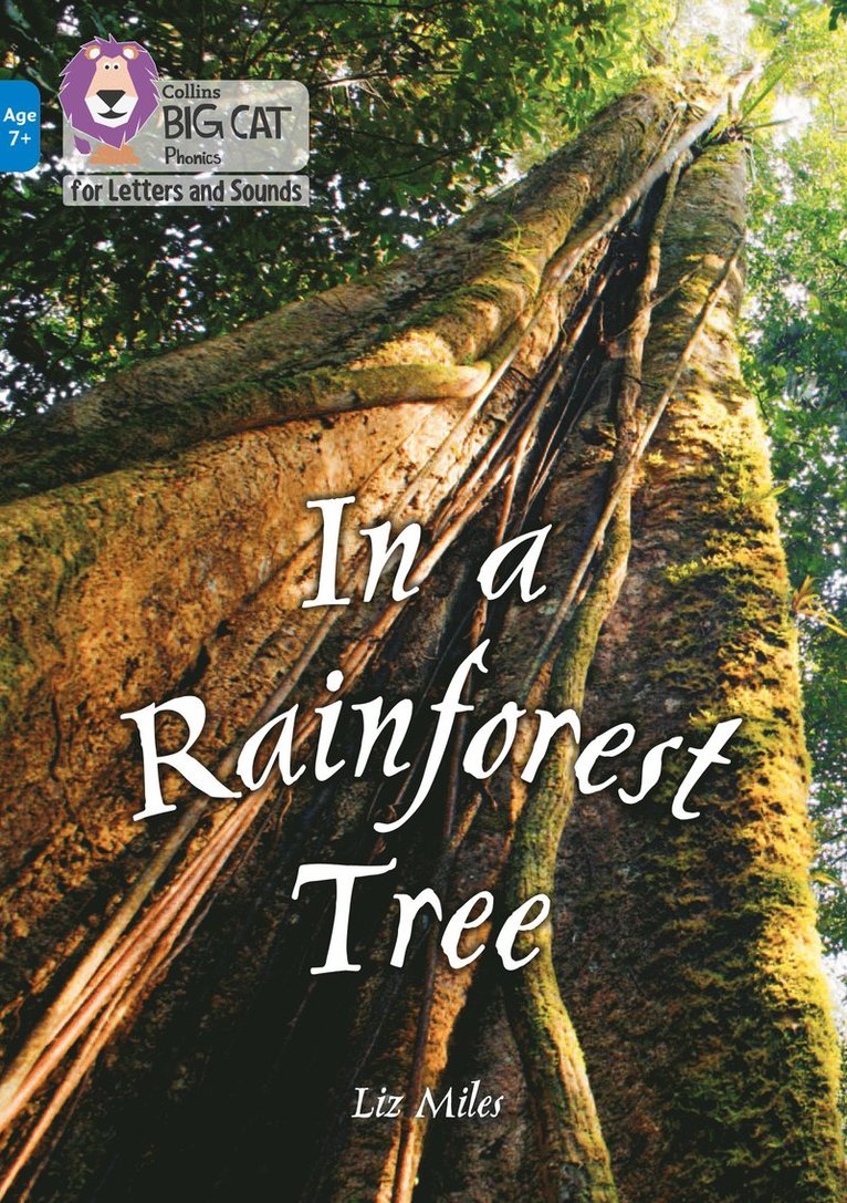 Liz Miles - In a Rainforest Tree, Häftad