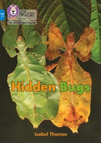 bokomslag Hidden Bugs