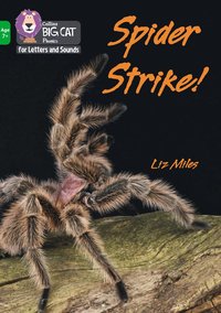 bokomslag Spider Strike!