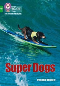 bokomslag Super Dogs