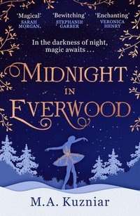 bokomslag Midnight in Everwood