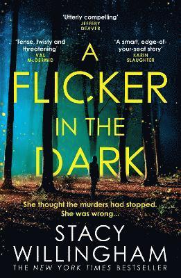A Flicker in the Dark 1