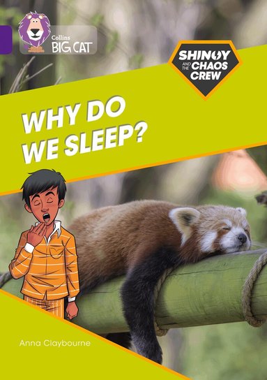 Anna Claybourne - Shinoy and the Chaos Crew: Why do we sleep?, Häftad