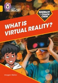 bokomslag Shinoy and the Chaos Crew: What is virtual reality?