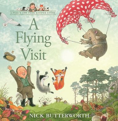 bokomslag Flying Visit